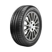 R17 205/55 91W XL FP  Goodyear EfficientGrip Performance * ROF (2023 г.в.)
