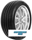 Delinte 245/65 r17 DS-2 SUV 107H