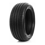 DELINTE  215/50/17  W 95 DS2  XL