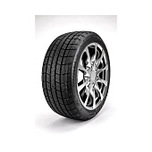 R17 205/50 89T Centara Winter rx621