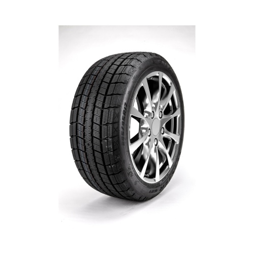 R17 205/50 89T Centara Winter rx621