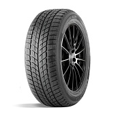 DoubleStar  235/55/17  T 99 DW09