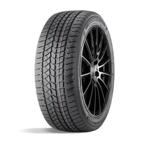 DoubleStar  245/45/20  T 103 DW02