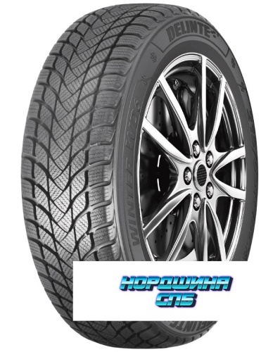Delinte 205/55 r17 Winter WD6 95H