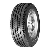 ROADIAN HT