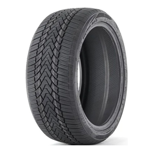 FRONWAY  255/40/20  V 101 ICEMASTER I  XL