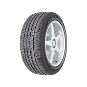 R20 245/50 102H Goodyear Eagle RS-A T0 (2024 г.в.)