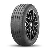 NFera Sport